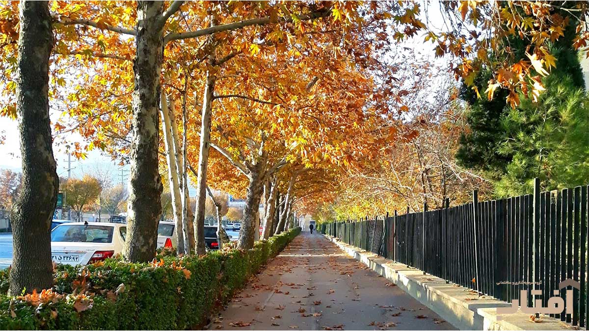 پرتقاضاترین مناطق شیراز برای خرید ملک